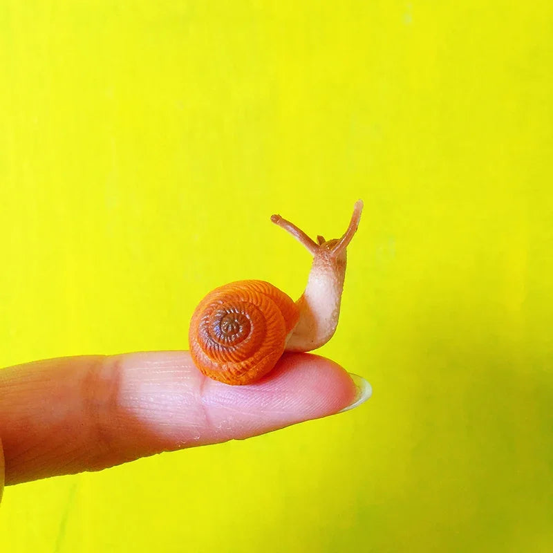 Mini Snail Pet