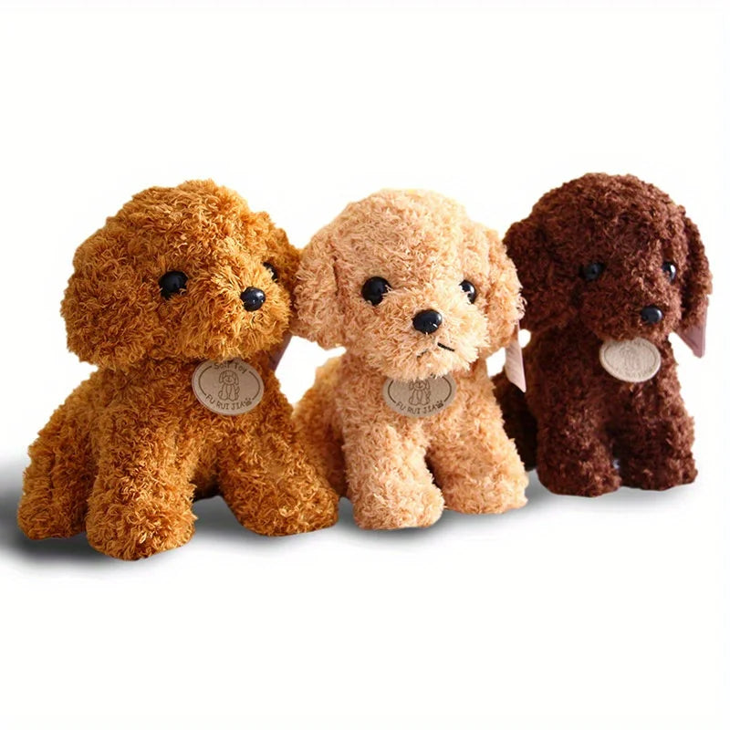 Teddy Pup