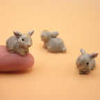 Mini Bunny Pet