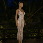 Moonlight Dinner Dress